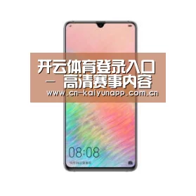 华为HUAWEI NOTE 8
