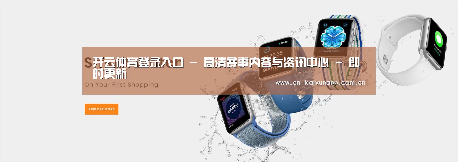 某某网络科技有限公司