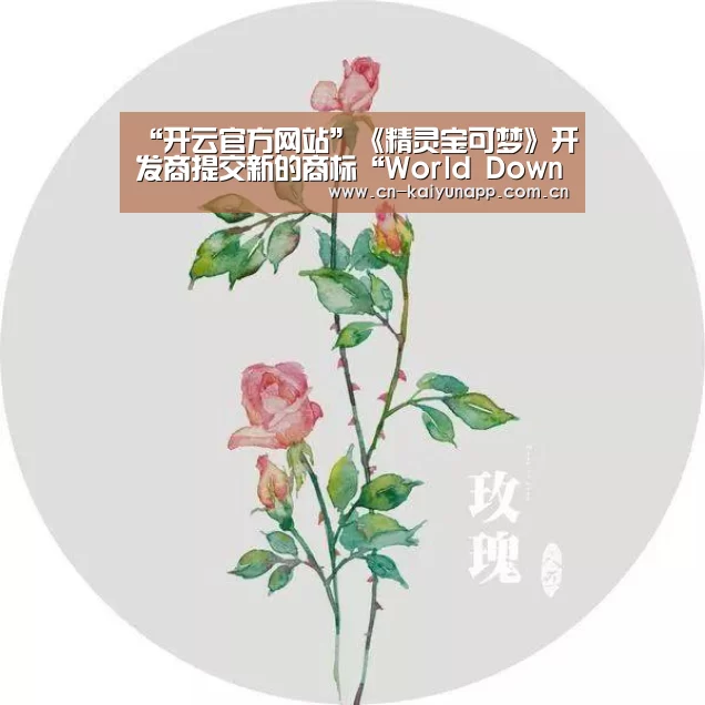 开云官方网站