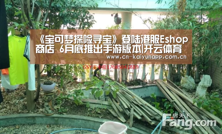 《宝可梦探险寻宝》登陆港服Eshop商店 6月底推出手游版本|开云体育官网(图2) 开云热门赛事