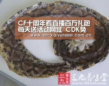 开云热门赛事