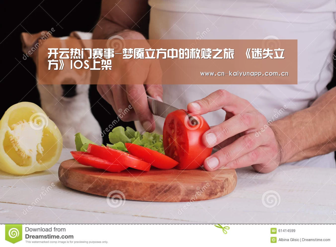 开云官方网站