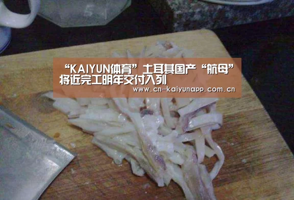 “KAIYUN体育”土耳其国产“航母”将近完工明年交付入列(图1) KAIYUN体育