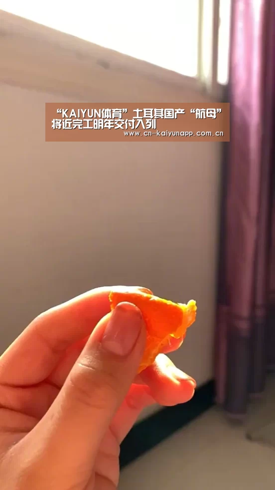 “KAIYUN体育”土耳其国产“航母”将近完工明年交付入列(图4) 开云官方网站