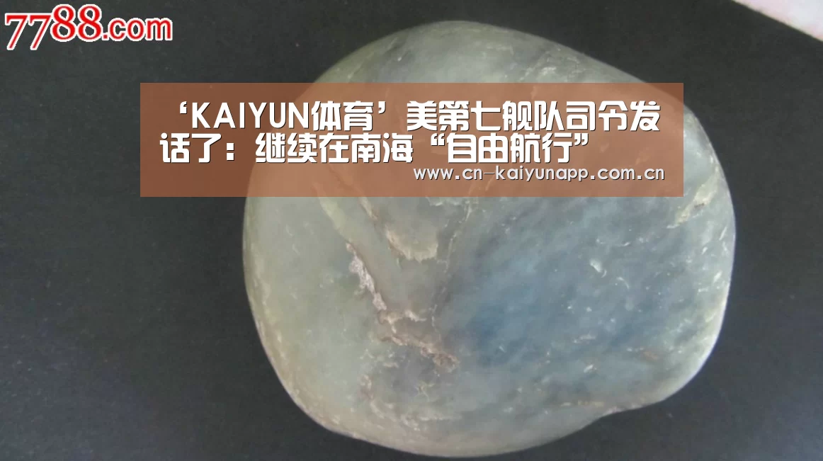 ‘KAIYUN体育’美第七舰队司令发话了:继续在南海“自由航行”(图1) 开云体育官网