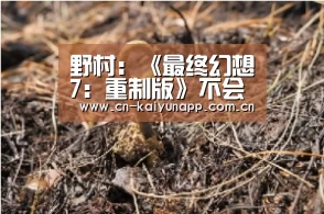 野村:《最终幻想7:重制版》不会覆盖原作-开云官方网站(图2) KAIYUN体育