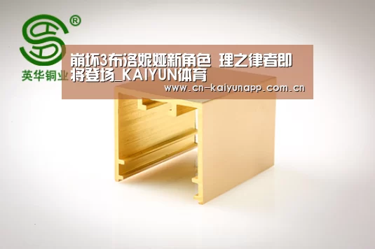崩坏3布洛妮娅新角色 理之律者即将登场_KAIYUN体育(图2) KAIYUN体育