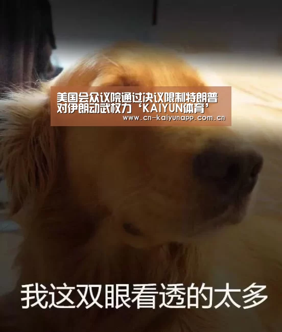开云体育官网